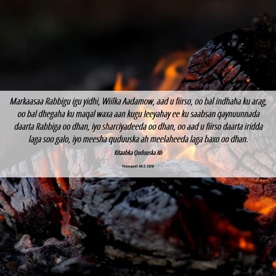 Picture 06 - Yexesqeel 44:5 SOM - Markaasaa Rabbigu igu yidhi, Wiilka Aadamow, aad - Bible Verse Picture
