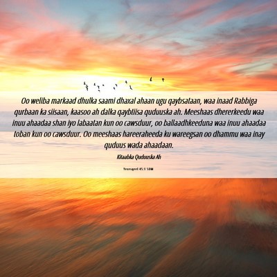 Picture 06 - Yexesqeel 45:1 SOM - Oo weliba markaad dhulka saami dhaxal ahaan ugu - Bible Verse Picture
