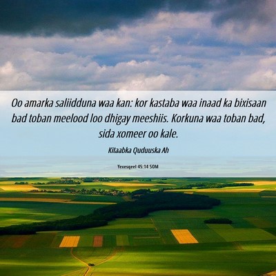 Picture 06 - Yexesqeel 45:14 SOM - Oo amarka saliidduna waa kan: kor kastaba waa - Bible Verse Picture