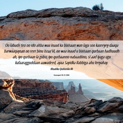 Picture 06 - Yexesqeel 45:15 SOM - Oo labadii tiro oo ido ahba waa inaad ka bixisaan - Bible Verse Picture