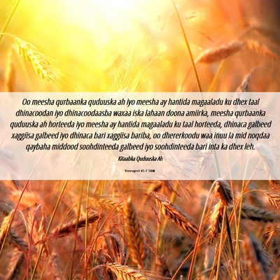 Picture 06 - Yexesqeel 45:7 SOM - Oo meesha qurbaanka quduuska ah iyo meesha ay - Bible Verse Picture
