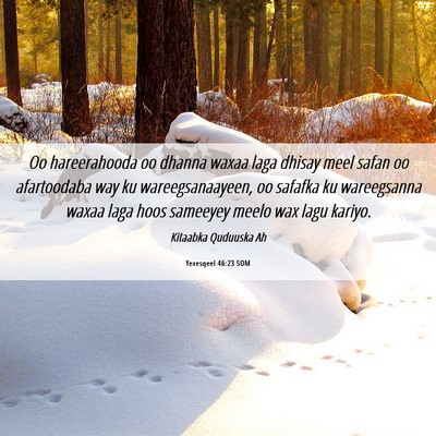 Picture 06 - Yexesqeel 46:23 SOM - Oo hareerahooda oo dhanna waxaa laga dhisay meel - Bible Verse Picture