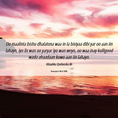 Picture 06 - Yexesqeel 46:6 SOM - Oo maalinta bishu dhalatona waa in la bixiyaa - Bible Verse Picture