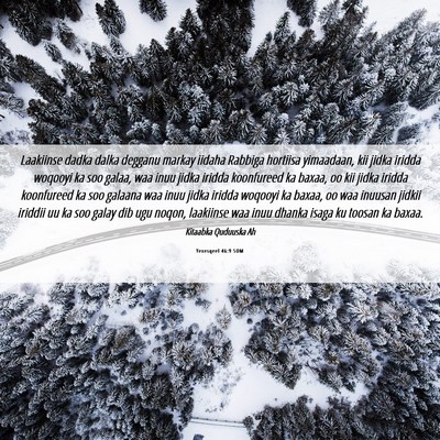 Picture 06 - Yexesqeel 46:9 SOM - Laakiinse dadka dalka degganu markay iidaha - Bible Verse Picture