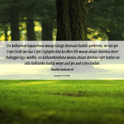 Picture 06 - Yexesqeel 47:10 SOM - Oo kalluumaystayaashuna waxay istaagi doonaan - Bible Verse Picture