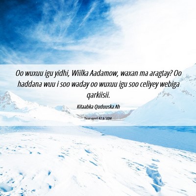 Picture 06 - Yexesqeel 47:6 SOM - Oo wuxuu igu yidhi, Wiilka Aadamow, waxan ma - Bible Verse Picture