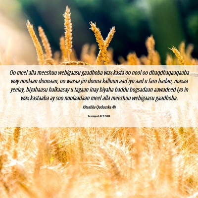 Picture 06 - Yexesqeel 47:9 SOM - Oo meel alla meeshuu webigaasu gaadhoba wax kasta - Bible Verse Picture