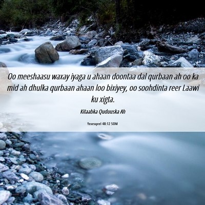 Picture 06 - Yexesqeel 48:12 SOM - Oo meeshaasu waxay iyaga u ahaan doontaa dal - Bible Verse Picture