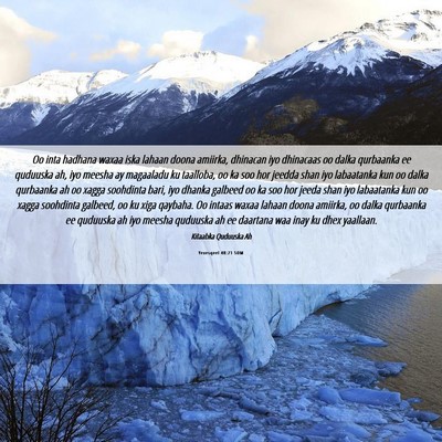 Picture 06 - Yexesqeel 48:21 SOM - Oo inta hadhana waxaa iska lahaan doona amiirka, - Bible Verse Picture