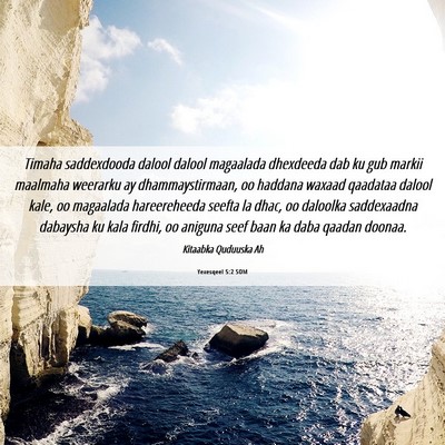 Picture 06 - Yexesqeel 5:2 SOM - Timaha saddexdooda dalool dalool magaalada - Bible Verse Picture