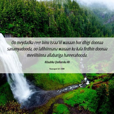 Picture 06 - Yexesqeel 6:5 SOM - Oo meydadka reer binu Israa'iil waxaan hor dhigi - Bible Verse Picture