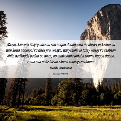 Picture 06 - Yexesqeel 7:13 SOM - Waayo, kan wax iibiyey uma uu soo noqon doono - Bible Verse Picture