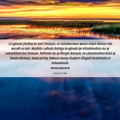 Picture 06 - Yexesqeel 7:19 SOM - Lacagtooda jidadkay ku xoori doonaan, oo - Bible Verse Picture