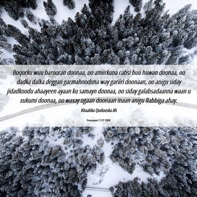 Picture 06 - Yexesqeel 7:27 SOM - Boqorku wuu barooran doonaa, oo amiirkuna cabsi - Bible Verse Picture