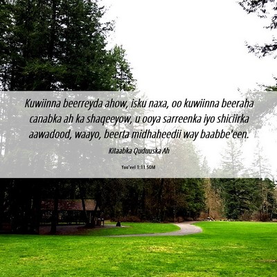 Picture 06 - Yoo'eel 1:11 SOM - Kuwiinna beerreyda ahow, isku naxa, oo kuwiinna - Bible Verse Picture