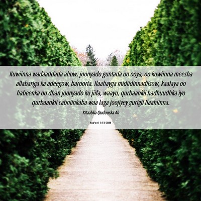 Picture 06 - Yoo'eel 1:13 SOM - Kuwiinna wadaaddada ahow, joonyado guntada oo - Bible Verse Picture