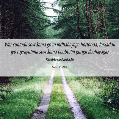 Picture 06 - Yoo'eel 1:16 SOM - War cuntadii sow kama go'in indhahayaga hortooda, - Bible Verse Picture