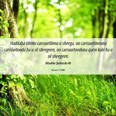 Picture 06 - Yoo'eel 1:3 SOM - Haddaba idinku carruurtiinna u sheega, oo - Bible Verse Picture