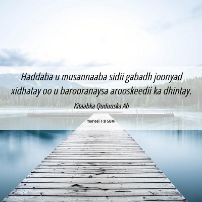 Picture 06 - Yoo'eel 1:8 SOM - Haddaba u musannaaba sidii gabadh joonyad - Bible Verse Picture