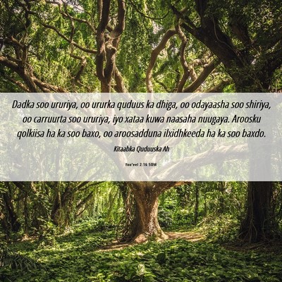 Picture 06 - Yoo'eel 2:16 SOM - Dadka soo ururiya, oo ururka quduus ka dhiga, oo - Bible Verse Picture