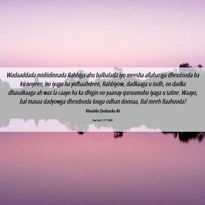 Picture 06 - Yoo'eel 2:17 SOM - Wadaaddada midiidinnada Rabbiga ahu balbalada iyo - Bible Verse Picture