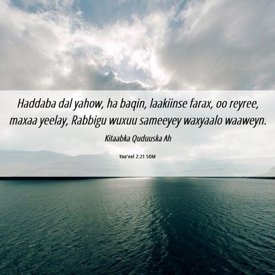 Picture 06 - Yoo'eel 2:21 SOM - Haddaba dal yahow, ha baqin, laakiinse farax, oo - Bible Verse Picture
