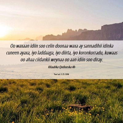 Picture 06 - Yoo'eel 2:25 SOM - Oo waxaan idiin soo celin doonaa waxa ay - Bible Verse Picture