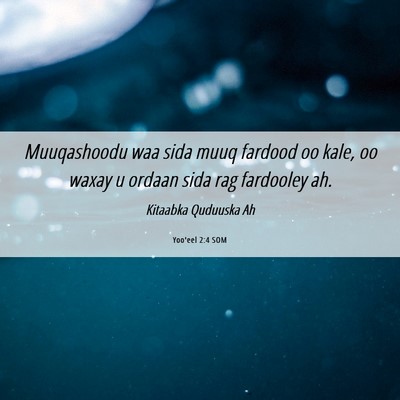 Picture 06 - Yoo'eel 2:4 SOM - Muuqashoodu waa sida muuq fardood oo kale, oo - Bible Verse Picture