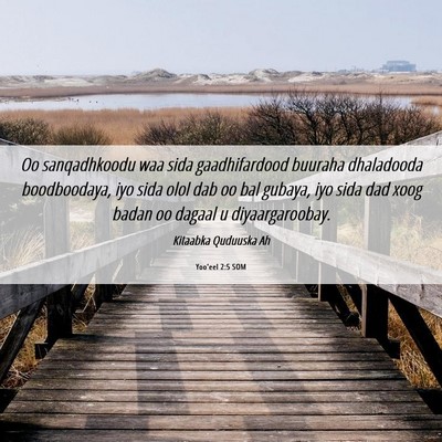 Picture 06 - Yoo'eel 2:5 SOM - Oo sanqadhkoodu waa sida gaadhifardood buuraha - Bible Verse Picture