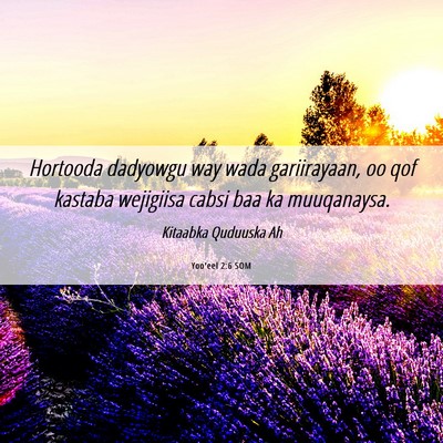 Picture 06 - Yoo'eel 2:6 SOM - Hortooda dadyowgu way wada gariirayaan, oo qof - Bible Verse Picture