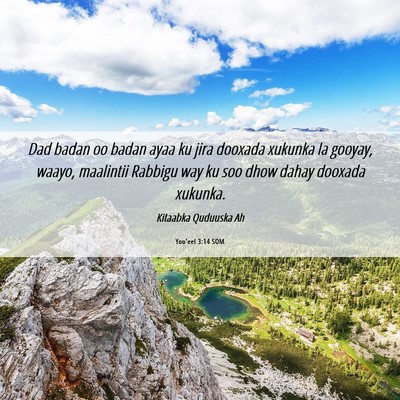 Picture 06 - Yoo'eel 3:14 SOM - Dad badan oo badan ayaa ku jira dooxada xukunka - Bible Verse Picture