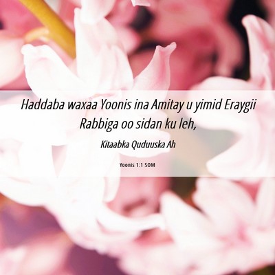 Picture 06 - Yoonis 1:1 SOM - Haddaba waxaa Yoonis ina Amitay u yimid Eraygii - Bible Verse Picture