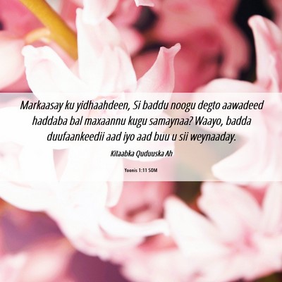 Picture 06 - Yoonis 1:11 SOM - Markaasay ku yidhaahdeen, Si baddu noogu degto - Bible Verse Picture