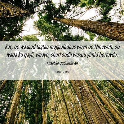 Picture 06 - Yoonis 1:2 SOM - Kac, oo waxaad tagtaa magaaladaas weyn oo - Bible Verse Picture