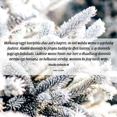 Picture 06 - Yoonis 1:5 SOM - Markaasay raggii baxriyiinta ahaa aad u baqeen, - Bible Verse Picture