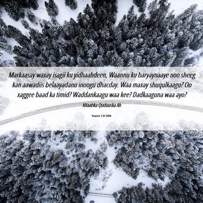 Picture 06 - Yoonis 1:8 SOM - Markaasay waxay isagii ku yidhaahdeen, Waannu ku - Bible Verse Picture