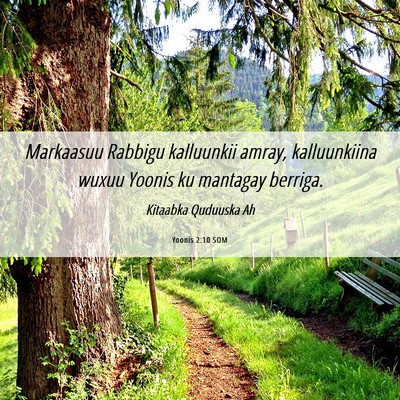 Picture 06 - Yoonis 2:10 SOM - Markaasuu Rabbigu kalluunkii amray, kalluunkiina - Bible Verse Picture