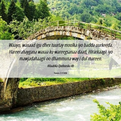Picture 06 - Yoonis 2:3 SOM - Waayo, waxaad igu dhex tuurtay moolka iyo badda - Bible Verse Picture