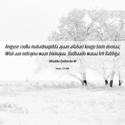 Picture 06 - Yoonis 2:9 SOM - Aniguse codka mahadnaqidda ayaan allabari kuugu - Bible Verse Picture