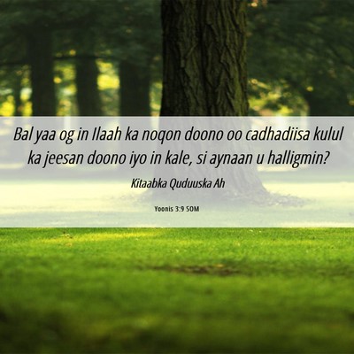 Picture 06 - Yoonis 3:9 SOM - Bal yaa og in Ilaah ka noqon doono oo cadhadiisa - Bible Verse Picture