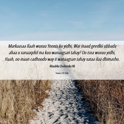 Picture 06 - Yoonis 4:9 SOM - Markaasaa Ilaah wuxuu Yoonis ku yidhi, War inaad - Bible Verse Picture