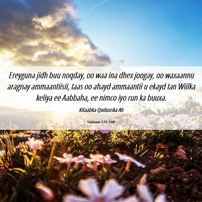 Picture 06 - Yooxanaa 1:14 SOM - Ereyguna jidh buu noqday, oo waa ina dhex joogay, - Bible Verse Picture