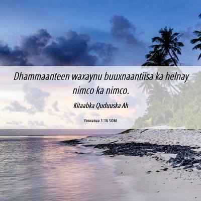 Picture 06 - Yooxanaa 1:16 SOM - Dhammaanteen waxaynu buuxnaantiisa ka helnay - Bible Verse Picture