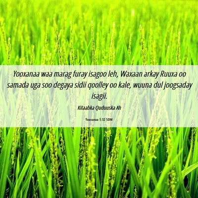 Picture 06 - Yooxanaa 1:32 SOM - Yooxanaa waa marag furay isagoo leh, Waxaan arkay - Bible Verse Picture