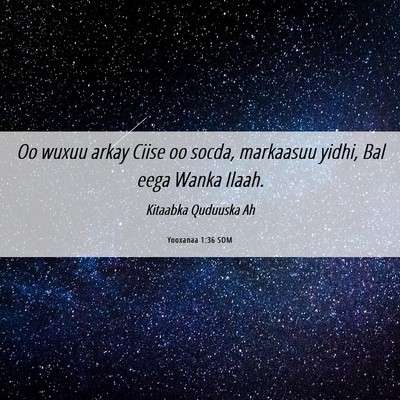 Picture 06 - Yooxanaa 1:36 SOM - Oo wuxuu arkay Ciise oo socda, markaasuu yidhi, - Bible Verse Picture