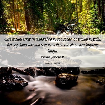 Picture 06 - Yooxanaa 1:47 SOM - Ciise wuxuu arkay Nataana'el oo ku soo socda, oo - Bible Verse Picture