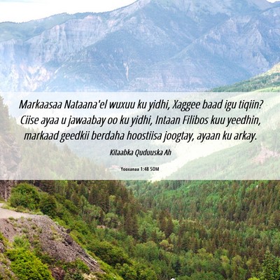 Picture 06 - Yooxanaa 1:48 SOM - Markaasaa Nataana'el wuxuu ku yidhi, Xaggee baad - Bible Verse Picture