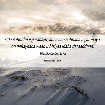 Picture 06 - Yooxanaa 10:15 SOM - sida Aabbuhu ii garanayo, anna aan Aabbaha u - Bible Verse Picture