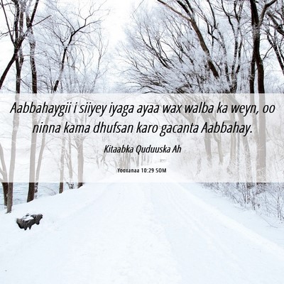 Picture 06 - Yooxanaa 10:29 SOM - Aabbahaygii i siiyey iyaga ayaa wax walba ka - Bible Verse Picture