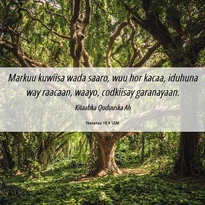 Picture 06 - Yooxanaa 10:4 SOM - Markuu kuwiisa wada saaro, wuu hor kacaa, iduhuna - Bible Verse Picture